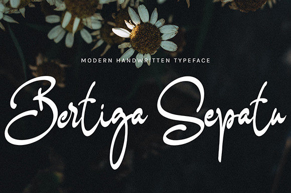 Bertiga Sepatu: A Designer’s Honest Review