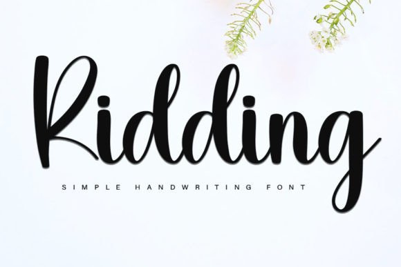 Ridding Font: Elevate Your Brand Identity